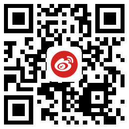永利304服务资本有限公司